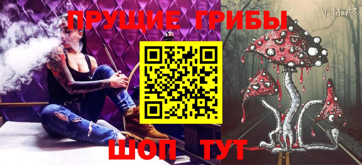 Псилоцибиновые грибы мухоморы  Галлюциногенные грибы GOLDEN TEACHER  Будённовск  Вход с VPN 